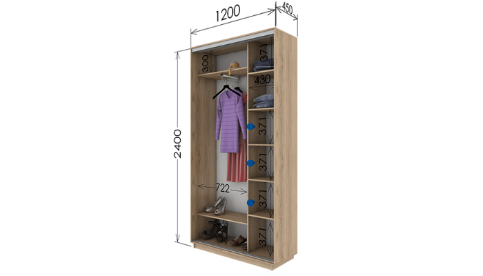 Шкаф-купе 1200х450х2400 Шкаф-купе 1200х450х2400