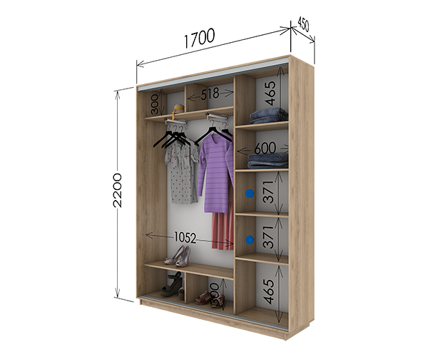 Шкаф-купе 1700х450х2200 Шкаф-купе 1700х450х2200