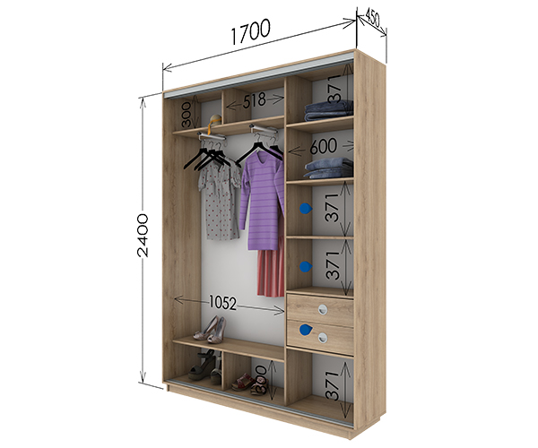 Шкаф-купе 1700х450х2400 Шкаф-купе 1700х450х2400