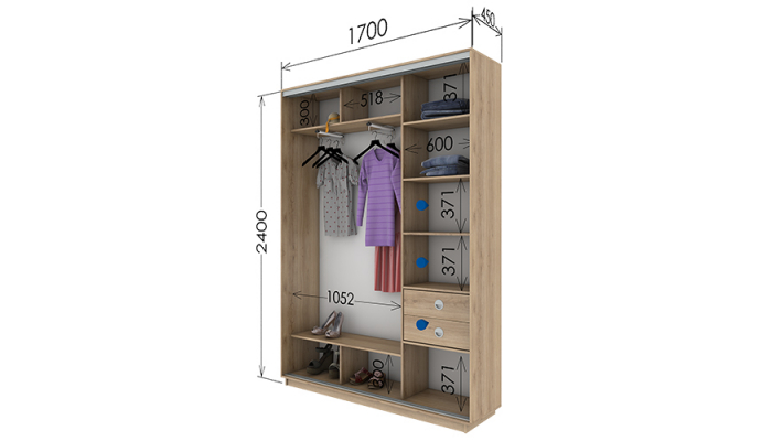 Шкаф-купе 1700х450х2400 Шкаф-купе 1700х450х2400
